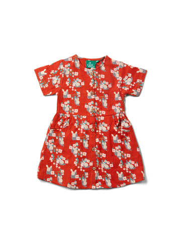 Little Green Radicals Kurzärmeliges Kleid mit Knopfleiste in Rot