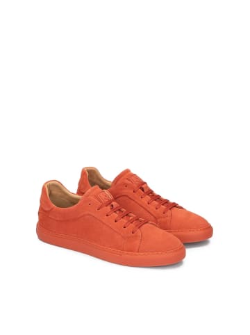 Kazar Sneaker Low in Orange