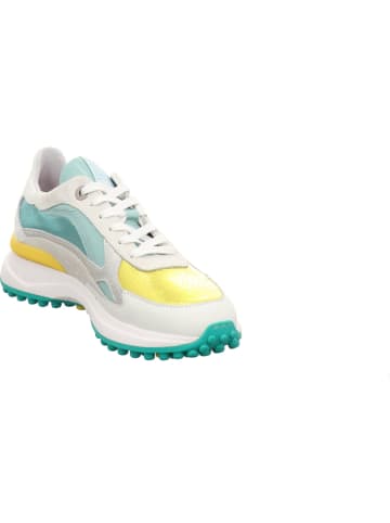 Floris van Bommel Sneaker Low in grün