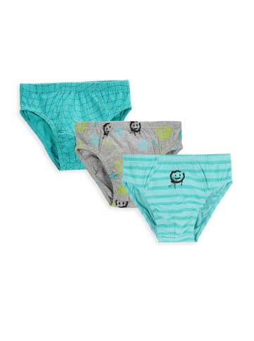 Coccodrillo Slip für Jungen in bunt