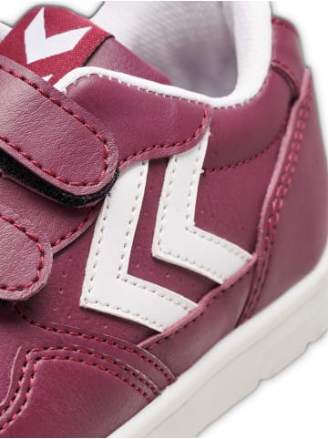 Hummel Sneaker Low Camden Jr in ROAN ROUGE