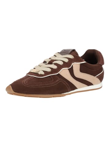 Steve Madden Sneaker ABBI-SM in Braun
