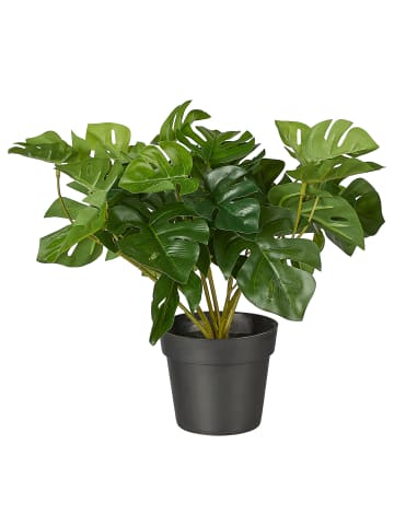Butlers Kunstpflanze FLORISTA Monstera in Grün