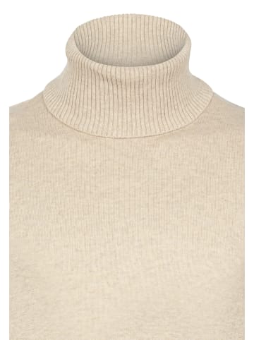 Felix Hardy Pullover in Beige-Grün