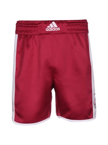 adidas Performance Shorts Dame 8 Innovation in weinrot / weiß