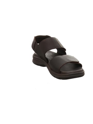 PANAMA JACK Sandalen in braun