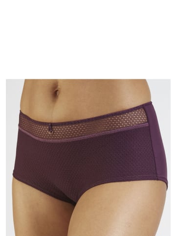 nuance Panty in aubergine