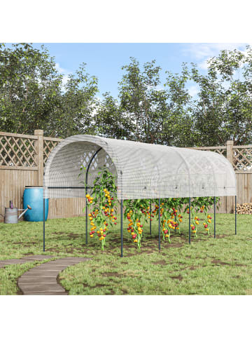 Outsunny Tomatengewächshaus 400L x 120B x 170H cm Weiß