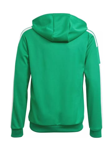 adidas Sweatshirt in Grün
