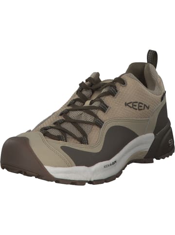 Keen Trekkingschuhe in safari/timberwolf