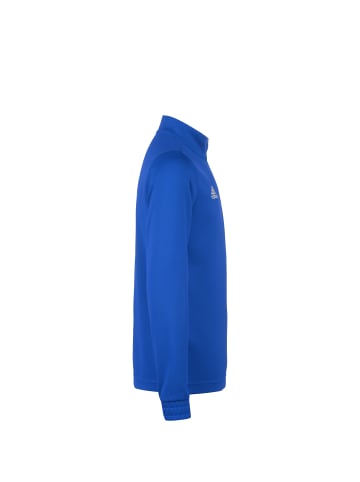 adidas Performance Trainingspullover Entrada 22 in blau