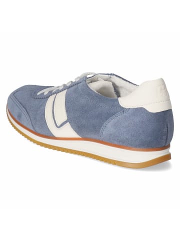 Paul Green Low Sneaker in blau