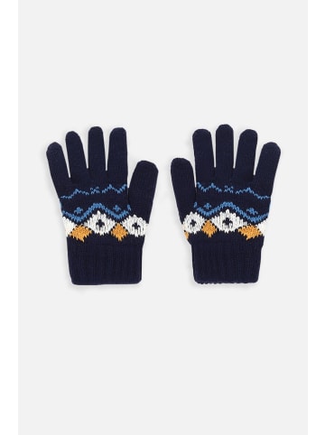 Coccodrillo Handschuhe in bunt