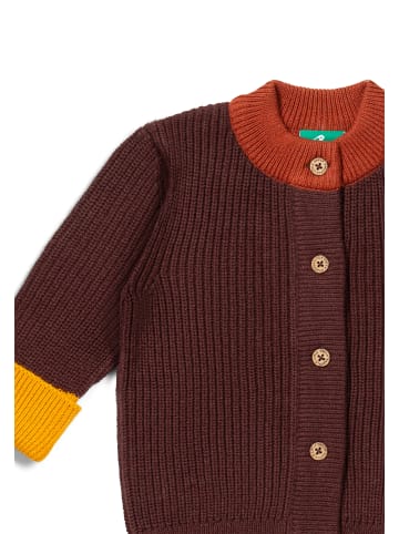 Little Green Radicals Bio-Strickstrickjacke in Braun