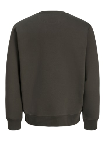Jack & Jones Sweatshirt in Peat 1