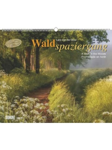 DuMont Kalenderverlag Kalender - DUMONT - Waldspaziergang 2026 - Fotokunst-Kalender Querformat 60 x 5