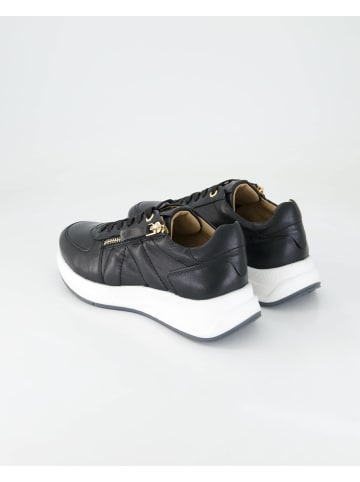 SALAMANDER Sneaker low in Schwarz