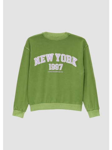 s.Oliver Sweatshirt in 7450_bambusgrün