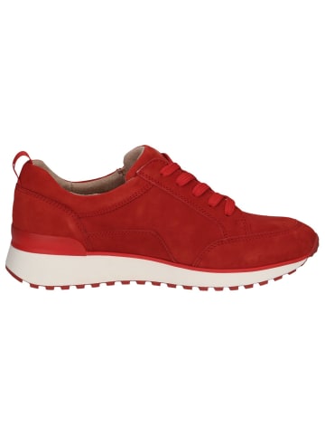 Caprice Sneaker in RED SUEDE