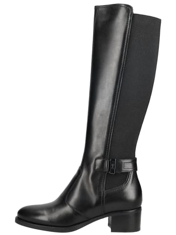 Nero Giardini Stiefel in Schwarz