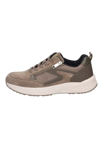 WALDLÄUFER Schnürschuhe  Sportlich in braun