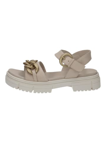 Caprice Sandalen in Beige