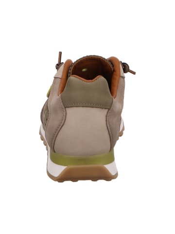 Cetti Sneaker in khaki