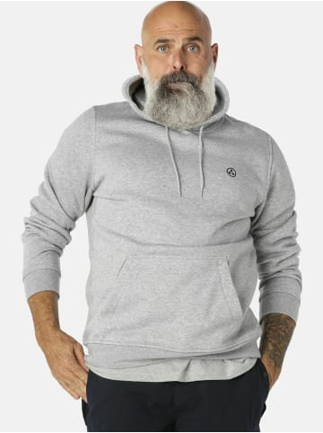 Molecule Hoodie Heavy in Grey