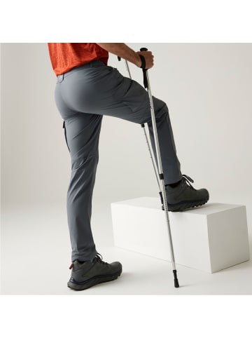 Regatta Wanderhose Sommer Questra Cargohose (Insektenabweisend) in grau