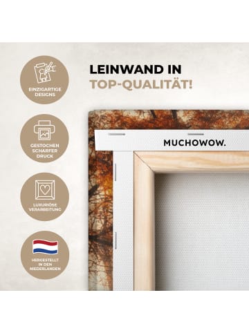 MuchoWow Leinwand bilder Waldweg (BxH)