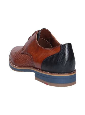 LLOYD Schnürschuh DRIFT 110 in braun