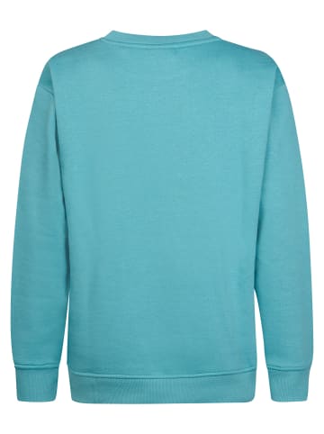 Petrol Industries Rundhals-Sweatshirt millhill in Blau