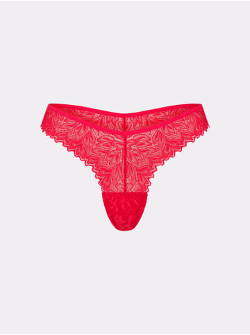 Erlich Textil  DREAMY LACE BRAZIL in chilirot