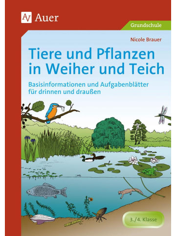 Auer Verlag Tiere und Pflanzen in Weiher und Teich | Basisinformationen und...