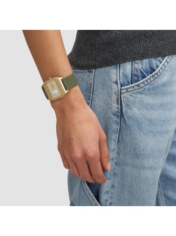 LIEBESKIND BERLIN Armbanduhr Vinyl Vision in grün