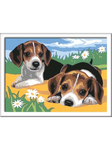 Ravensburger Malprodukte CreArt, Malen nach Zahlen Kinder - Jack Russell Welpen Malen nach Zahlen Kinder Ab 7 Jahre in bunt