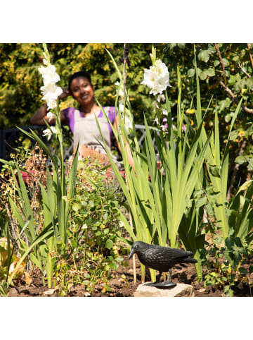 relaxdays 9x Taubenschreck in Schwarz