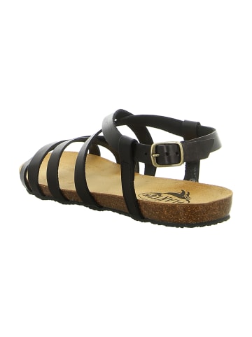Plakton Sandalen in Schwarz