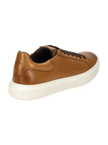 Geox Sportliche Schnürschuhe in Braun