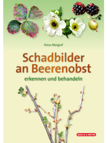 Quelle & Meyer Buch - Schadbilder an Beerenobst