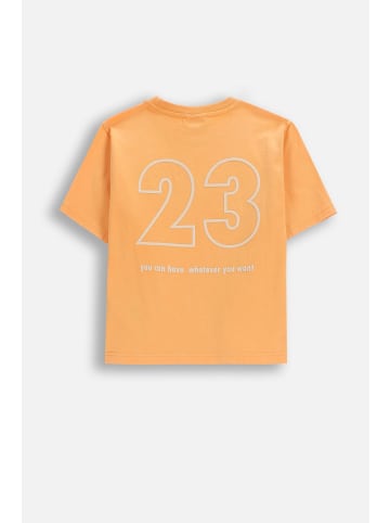 Coccodrillo Baumwoll-T-Shirt mit kurzen Ärmeln in orange