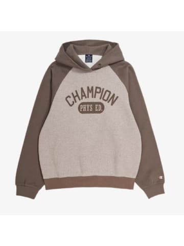 Champion Hoodie Hooded Sweatshirt in Beige