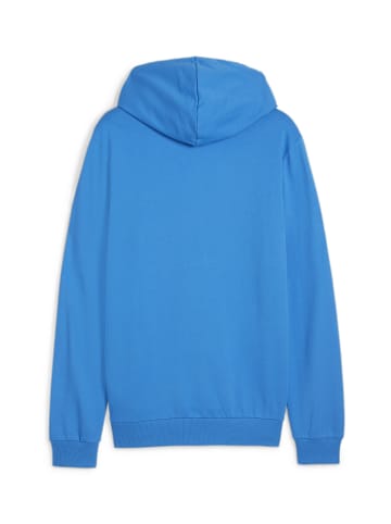 Puma Sweatshirt teamGOAL Casuals Hooded Jacket in blau