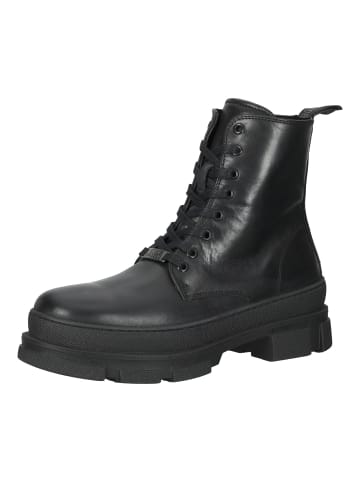 Steve Madden Stiefelette in Schwarz