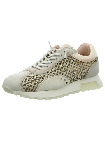 Hispanitas Sneaker Low in grün