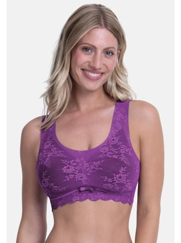 Anita Bralette Essential Lace in Magic purple