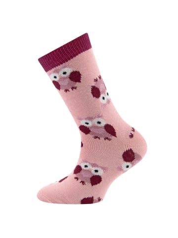 ewers 2er-Set Socken 2er Pack GOTS Eule in rosenrauch-marone