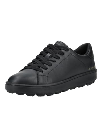 Geox Sneaker in Schwarz