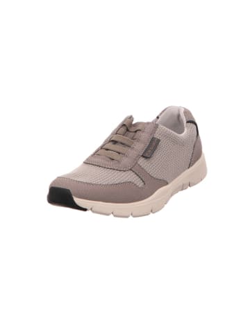 Pius Gabor Sneaker in grau