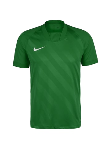 Nike Performance Fußballtrikot Challenge III in grün / weiß